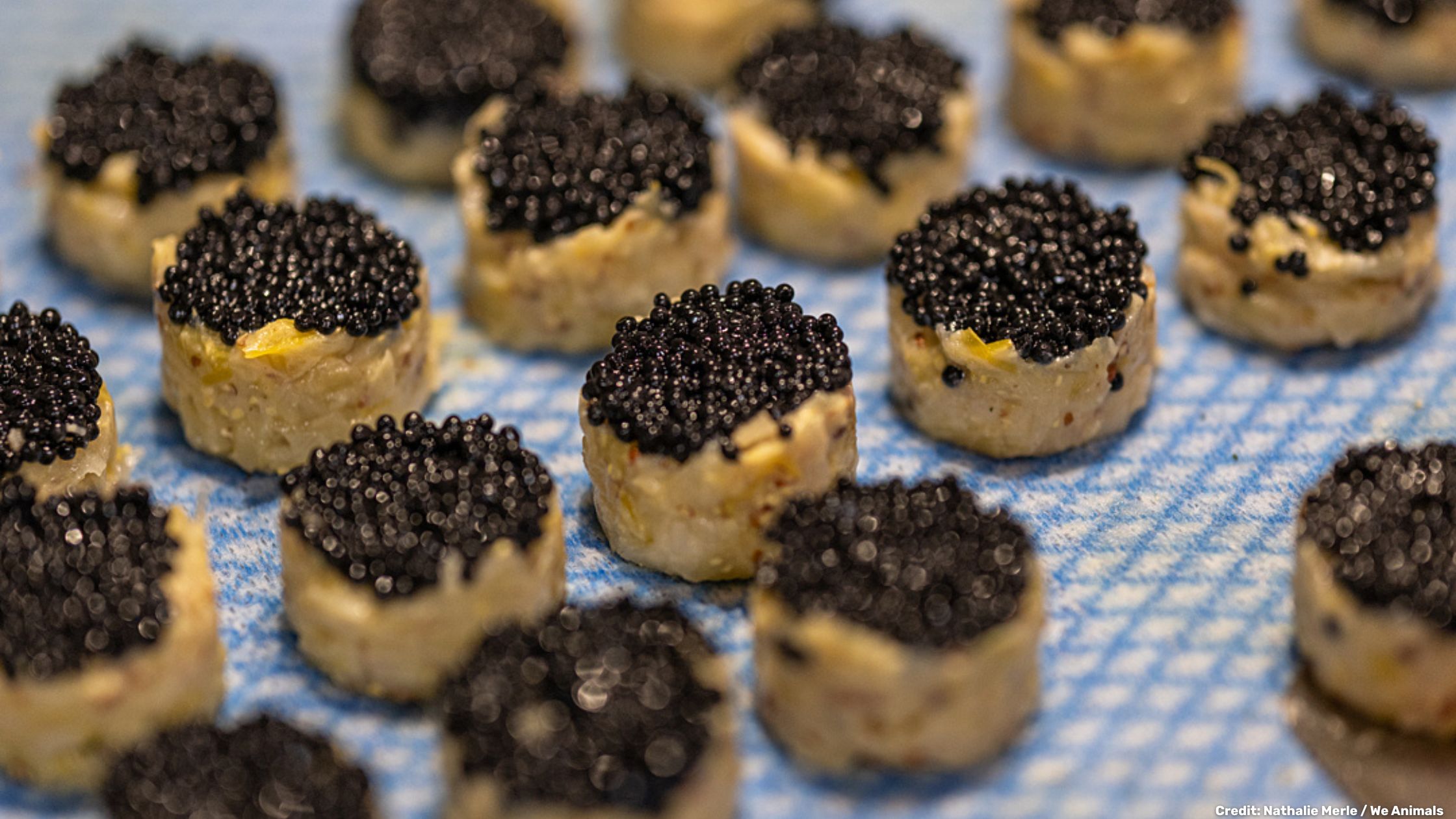 Caviar vegano