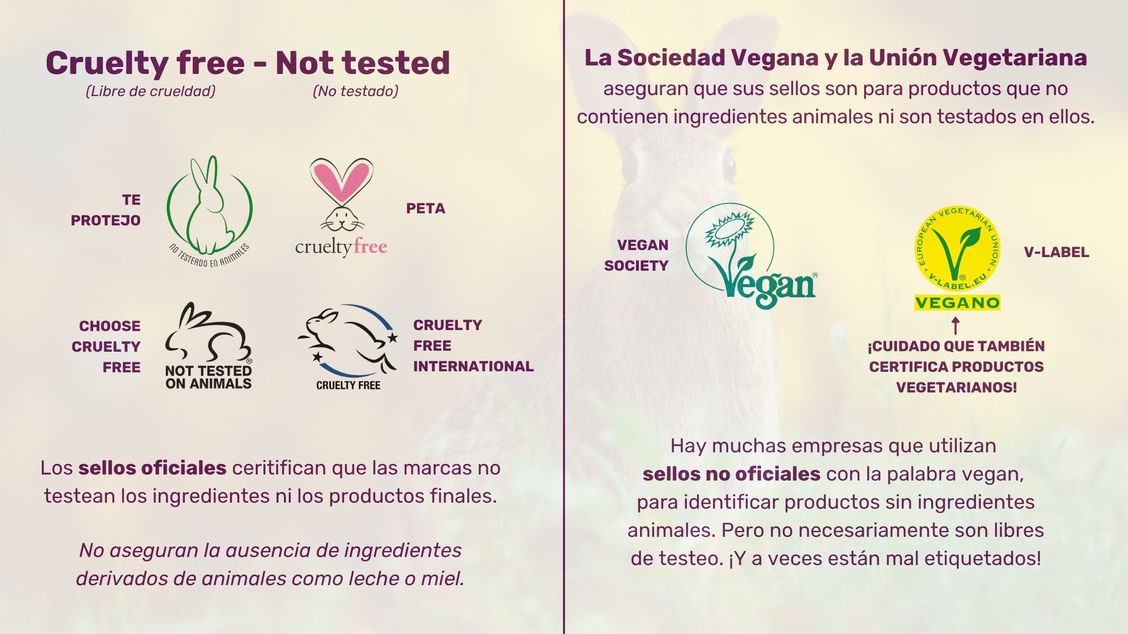 Diferencia vegano sin crueldad